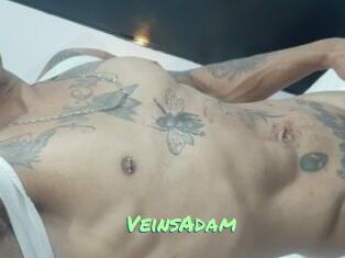 VeinsAdam Gothicorgien