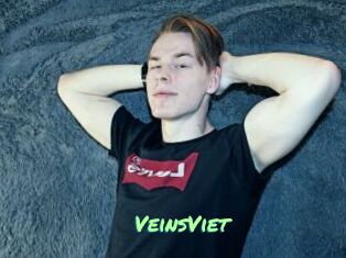 VeinsViet