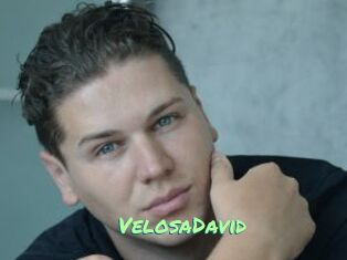 VelosaDavid
