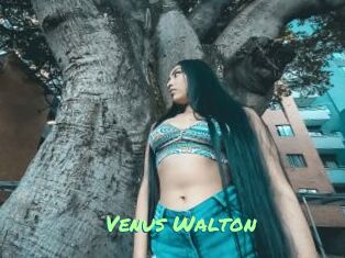Venus_Walton