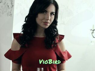 VioBird