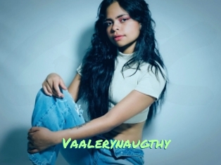 Vaalerynaugthy