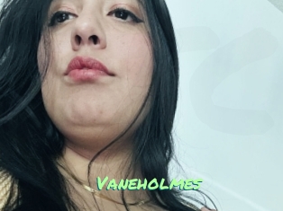 Vaneholmes