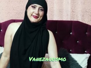 Vanezacosmo