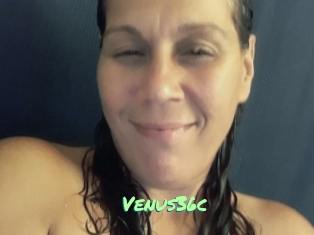 Venus36c