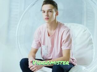 Viggomister