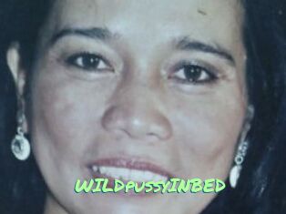WILDpussyINBED