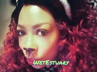 WetEstuary