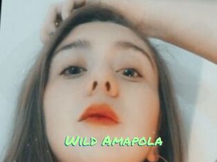Wild_Amapola