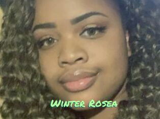 Winter_Rosea