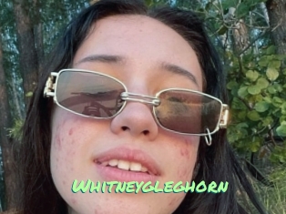whitneygleghorn Gothicorgien