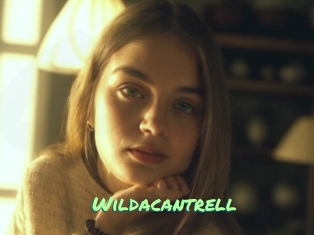 wildacantrell Gothicorgien