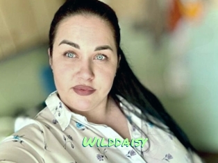 Wilddaisy
