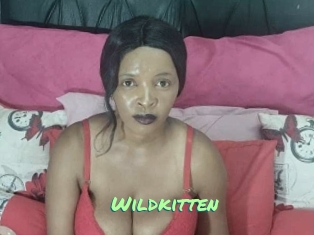 Wildkitten