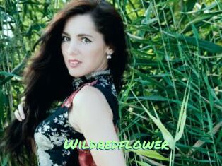 Wildredflower
