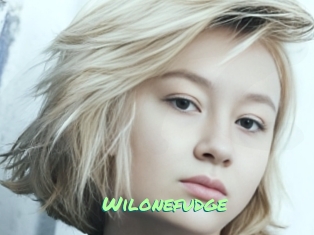 Wilonefudge