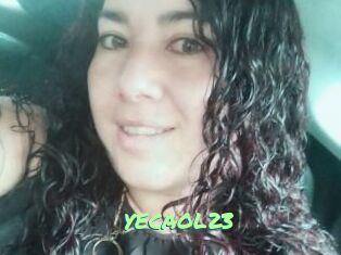 YECAOL23