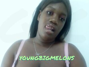 YOUNGBIGMELONS