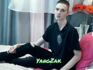 YangZak Gothicorgien