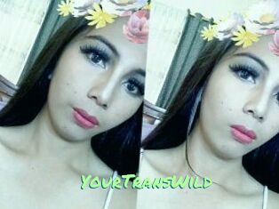 YourTransWild