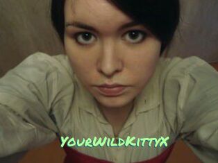 YourWildKittyX
