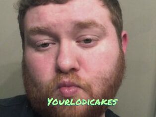 Yourlodicakes