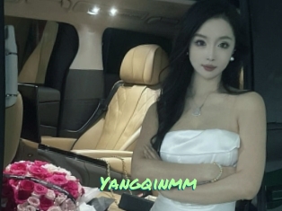 Yangqinmm