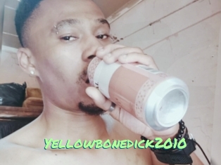 Yellowbonedick2010
