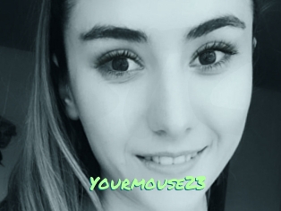 Yourmouse23
