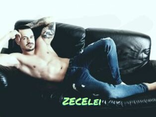 ZECElei