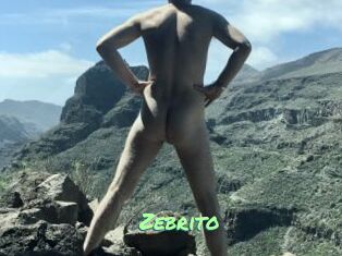 Zebrito