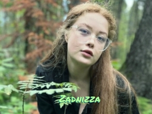 Zadnizza